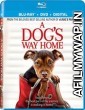 A Dogs Way Home (2019) Hindi Dubbed Movie