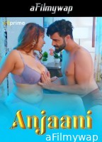 Anjaani (2024) S01 Part 1 Hitprime Hindi Hot Web Series