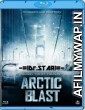 Arctic Blast (2010) UNCUT Hindi Dubbed Movie