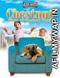 Chestnut Hero Of Central Park (2004) Hindi Dubbed Movies