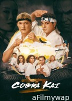 Cobra Kai (2024) Season 6 Part 1 Hindi Dubbed Series