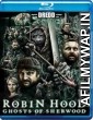 Robin Hood Ghosts Of Sherwood (2012) Hindi Dubbed Movie