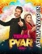 Teray Pyar Mai (2020) Urdu Full Movie